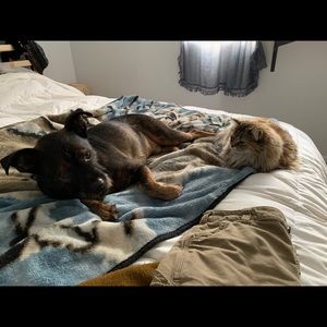 Meet your Posher, Danika